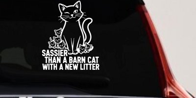Sassier Than A Barn Cat With A New Litter Car or Truck Vinyl Window Decal Sticker