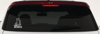 Sassier Than A Barn Cat With A New Litter Car or Truck Vinyl Window Decal Sticker (White)