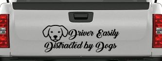 Driver Easily Distracted by Dogs Car or Truck Vinyl Window Decal Sticker (Black)