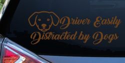 Driver Easily Distracted by Dogs Car or Truck Vinyl Window Decal Sticker (Copper)