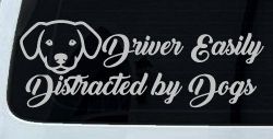 Driver Easily Distracted by Dogs Car or Truck Vinyl Window Decal Sticker (Light Gray)