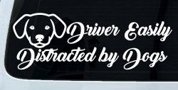 Driver Easily Distracted by Dogs Car or Truck Vinyl Window Decal Sticker