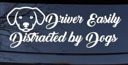 Driver Easily Distracted by Dogs Car or Truck Vinyl Window Decal Sticker