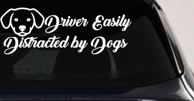 Driver Easily Distracted by Dogs Car or Truck Vinyl Window Decal Sticker