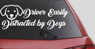 Driver Easily Distracted by Dogs Car or Truck Vinyl Window Decal Sticker