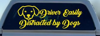Driver Easily Distracted by Dogs Car or Truck Vinyl Window Decal Sticker (Yellow)