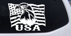 USA American Flag and Bald Eagle Left Car or Truck Vinyl Window Decal Sticker
