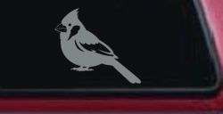 Cardinal Bird Car or Truck Vinyl Window Decal Sticker (Telegrey)