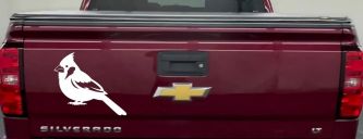 Cardinal Bird Car or Truck Vinyl Window Decal Sticker