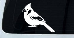 Cardinal Bird Car or Truck Vinyl Window Decal Sticker