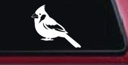 Cardinal Bird Car or Truck Vinyl Window Decal Sticker