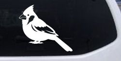 Cardinal Bird Car or Truck Vinyl Window Decal Sticker