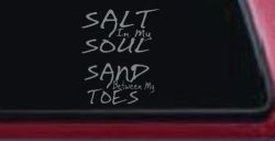 Salt Sand Beach Decal Car or Truck Vinyl Window Decal Sticker (Telegrey)