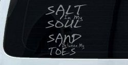 Salt Sand Beach Decal Car or Truck Vinyl Window Decal Sticker (Telegrey)