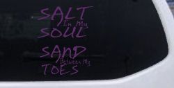 Salt Sand Beach Decal Car or Truck Vinyl Window Decal Sticker (Violet)