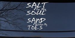 Salt Sand Beach Decal Car or Truck Vinyl Window Decal Sticker