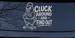 Chicken Hen Cluck Around and Find Out Car Truck Vinyl Window Decal Sticker (Light Gray)