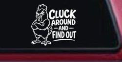 Chicken Hen Cluck Around and Find Out Car Truck Vinyl Window Decal Sticker