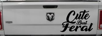 Funny Cute But Feral Car or Truck Vinyl Window Decal Sticker (Black)
