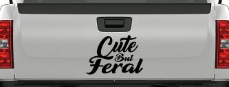Funny Cute But Feral Car or Truck Vinyl Window Decal Sticker (Black)