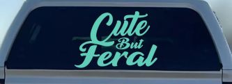 Decal Preview