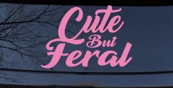 Decal Preview