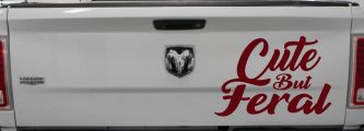Funny Cute But Feral Car or Truck Vinyl Window Decal Sticker (Purple Red)