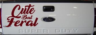 Funny Cute But Feral Car or Truck Vinyl Window Decal Sticker (Purple Red)