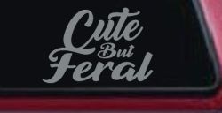 Funny Cute But Feral Car or Truck Vinyl Window Decal Sticker (Telegrey)
