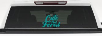 Funny Cute But Feral Car or Truck Vinyl Window Decal Sticker (Turquoise)