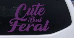 Funny Cute But Feral Car or Truck Vinyl Window Decal Sticker (Violet)
