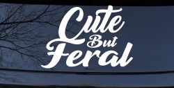Funny Cute But Feral Car or Truck Vinyl Window Decal Sticker