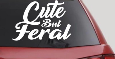 Funny Cute But Feral Car or Truck Vinyl Window Decal Sticker