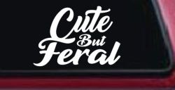 Funny Cute But Feral Car or Truck Vinyl Window Decal Sticker