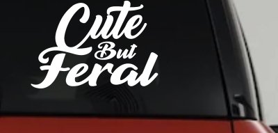 Funny Cute But Feral Car or Truck Vinyl Window Decal Sticker