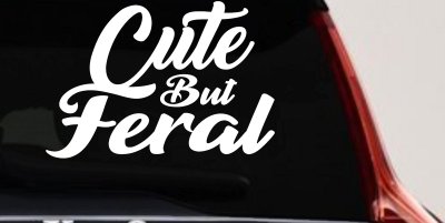 Funny Cute But Feral Car or Truck Vinyl Window Decal Sticker