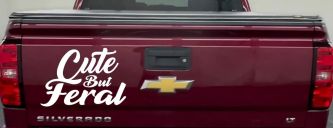 Funny Cute But Feral Car or Truck Vinyl Window Decal Sticker