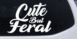 Funny Cute But Feral Car or Truck Vinyl Window Decal Sticker