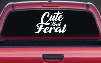 Funny Cute But Feral Car or Truck Vinyl Window Decal Sticker