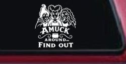 Amuck Around Find Out Car Witch Truck Vinyl Window Decal Sticker