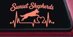 Sunset Shepherds Jumping Special Request Car or Truck Vinyl Window Decal Sticker (Coral)