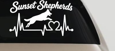 Sunset Shepherds Jumping Special Request Car or Truck Vinyl Window Decal Sticker