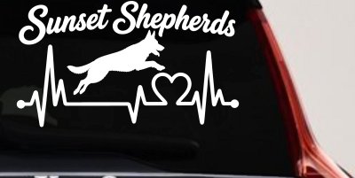 Sunset Shepherds Jumping Special Request Car or Truck Vinyl Window Decal Sticker