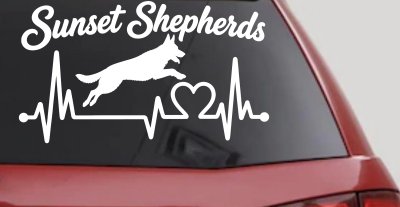 Sunset Shepherds Jumping Special Request Car or Truck Vinyl Window Decal Sticker