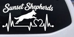 Sunset Shepherds Jumping Special Request Car or Truck Vinyl Window Decal Sticker