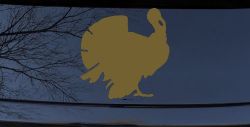Turkey Animals Car or Truck Window Decal Sticker (Gold)