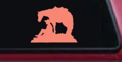 Cowboy and Horse Western Farm and Rodeo Car or Truck Window Vinyl Decal Sticker (Coral)