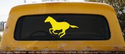 Horse (full body)running Car or Truck Vinyl Window Decal Sticker  (Yellow)