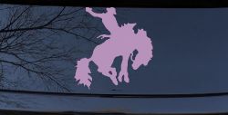 Rodeo Bucking Bronco Cowboy Western Farm Ranch Car or Truck Window Decal Sticker (Lilac)