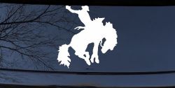 Rodeo Bucking Bronco Cowboy Western Farm Ranch Car or Truck Window Decal Sticker